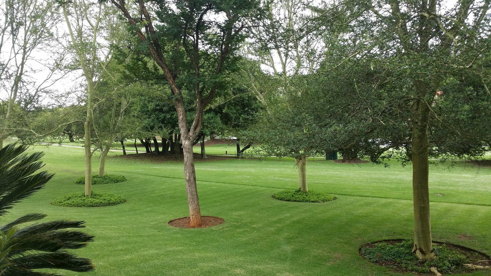 The Woodpecker Inn Pretoria-Noord Exterior foto
